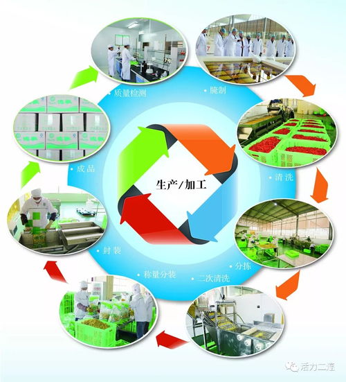 組織會員單位參加二連浩特邊民互市貿易區商品展銷會，推動商品零售貿易發展
